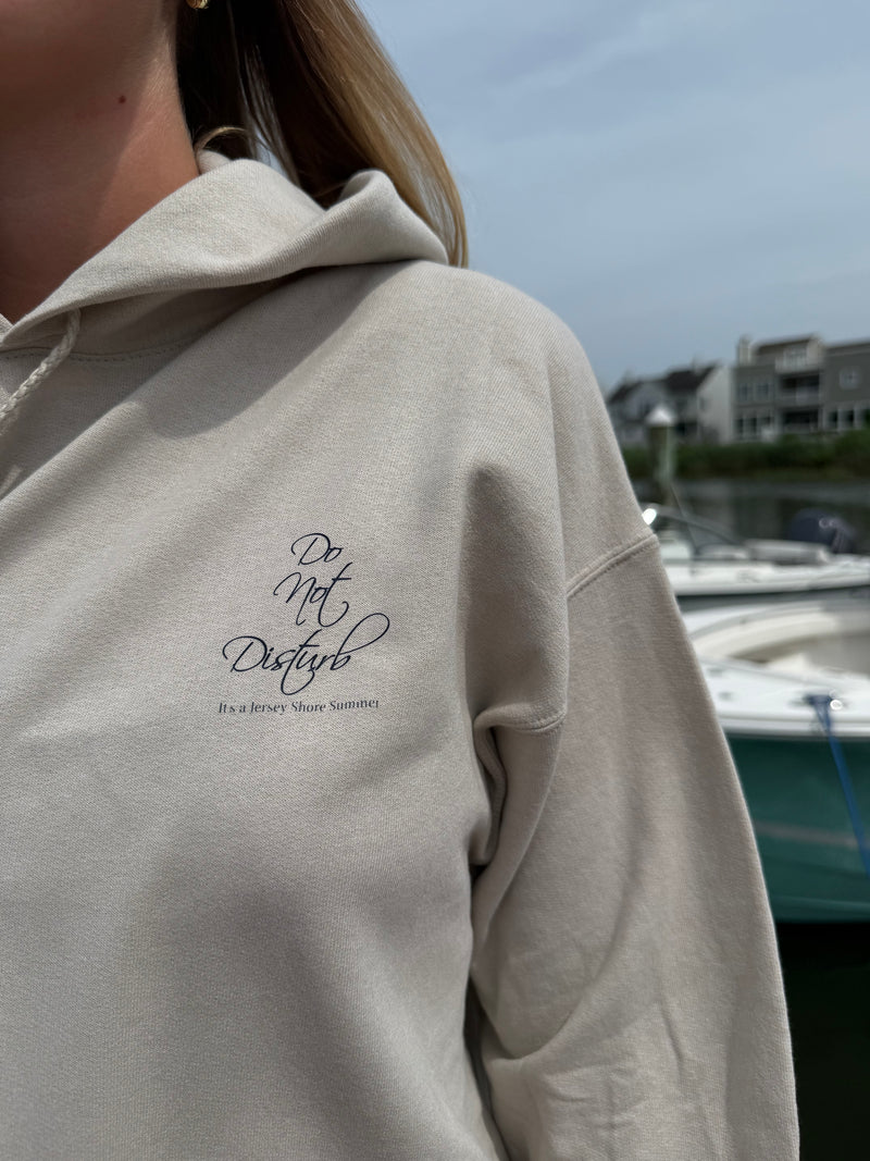 Do Not Disturb Hoodie